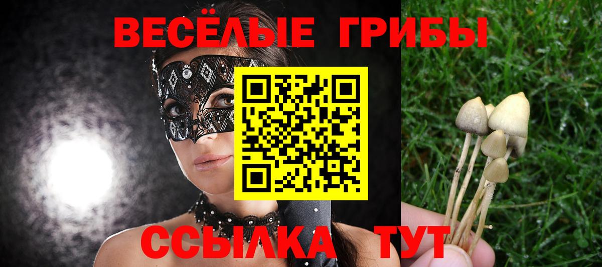 Галлюциногенные грибы мицелий Тулун