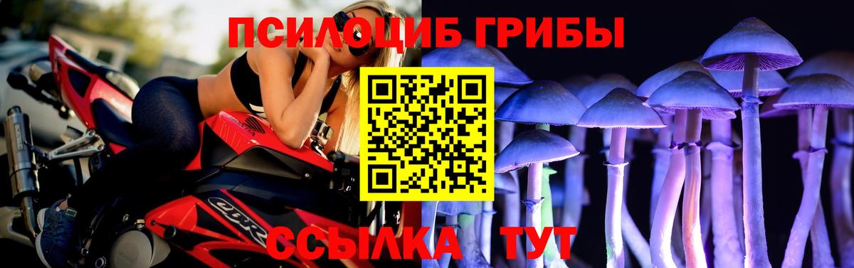 Псилоцибиновые грибы Psilocybine cubensis  Псилоцибиновые грибы MAGIC MUSHROOMS  Вход с VPN  Тулун 